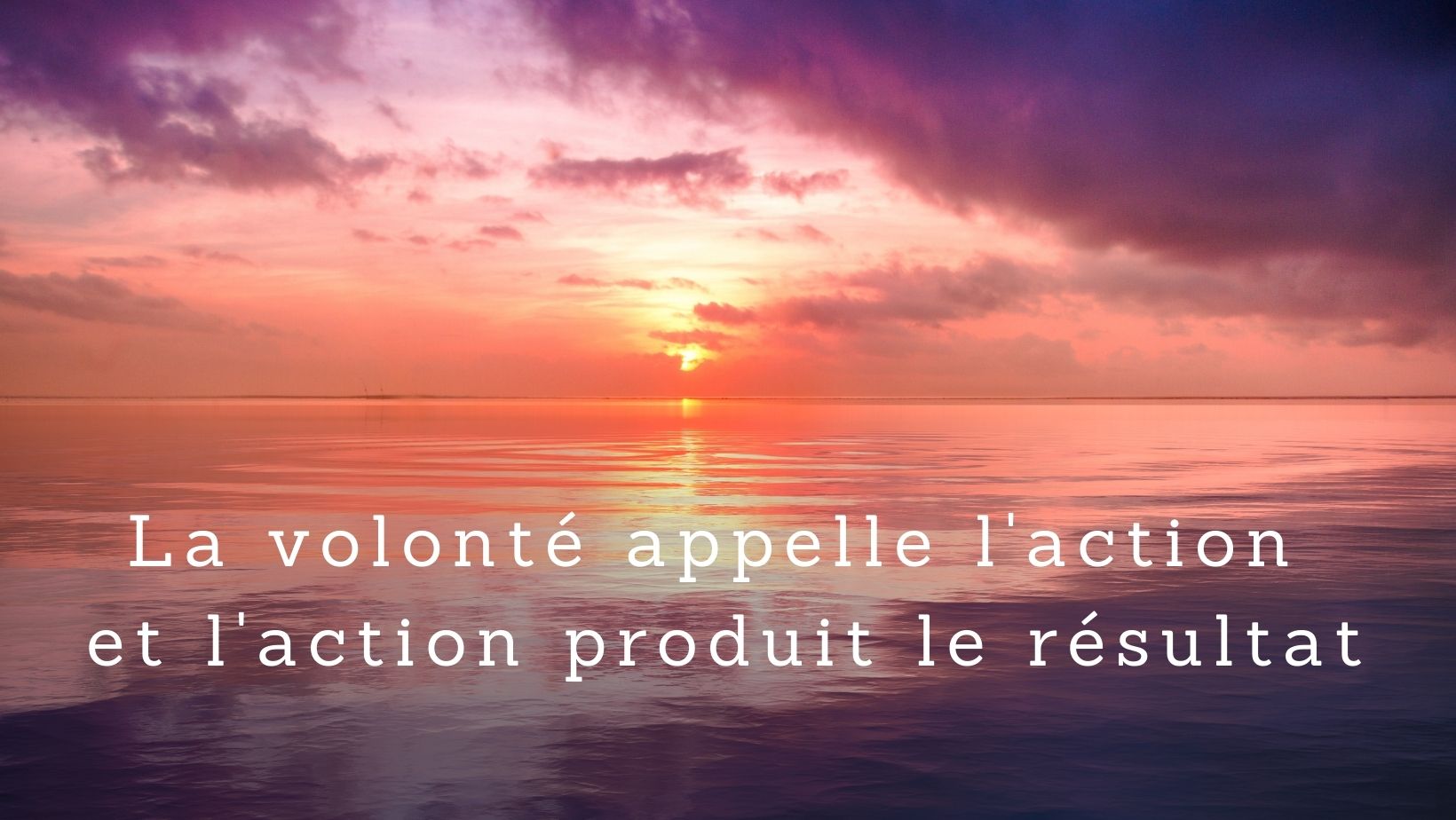 Citation Volonté